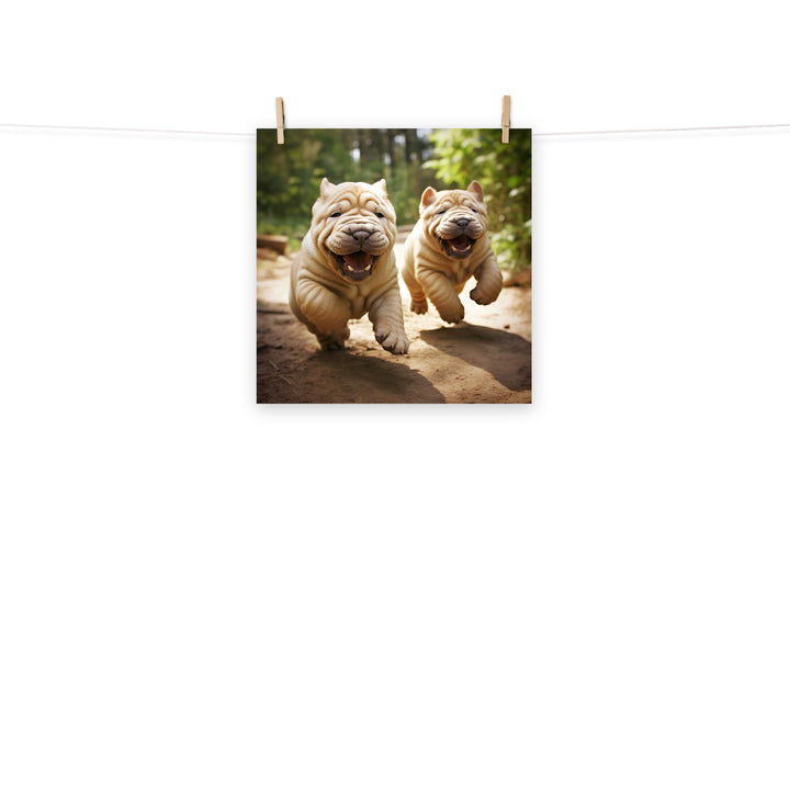 Shar Pei Photo paper poster - PosterfyAI.com