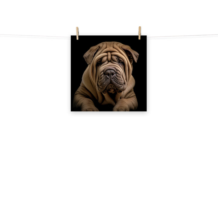 Shar Pei Photo paper poster - PosterfyAI.com