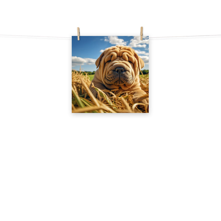 Shar Pei Photo paper poster - PosterfyAI.com