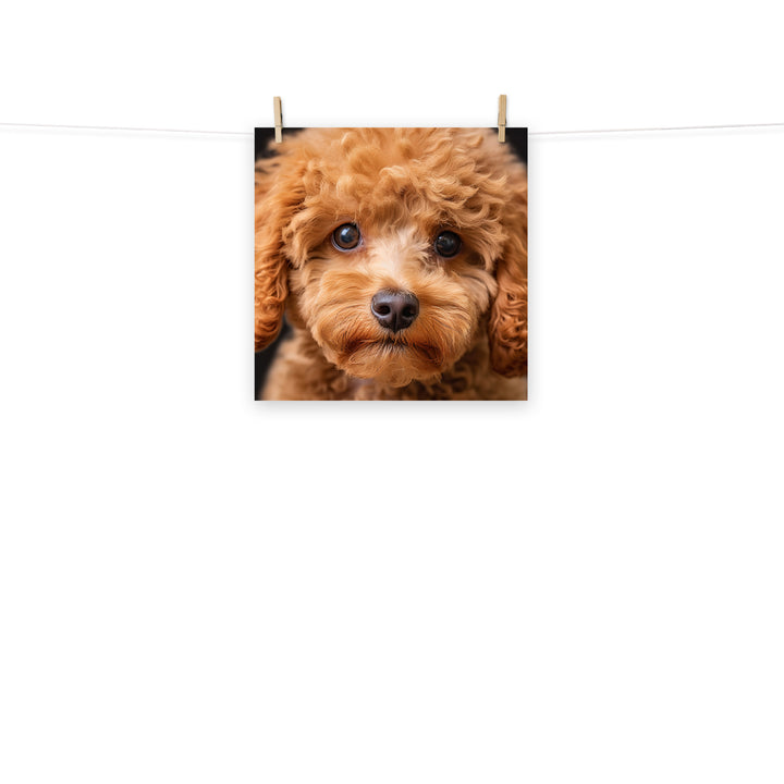 Poodle Photo paper poster - PosterfyAI.com