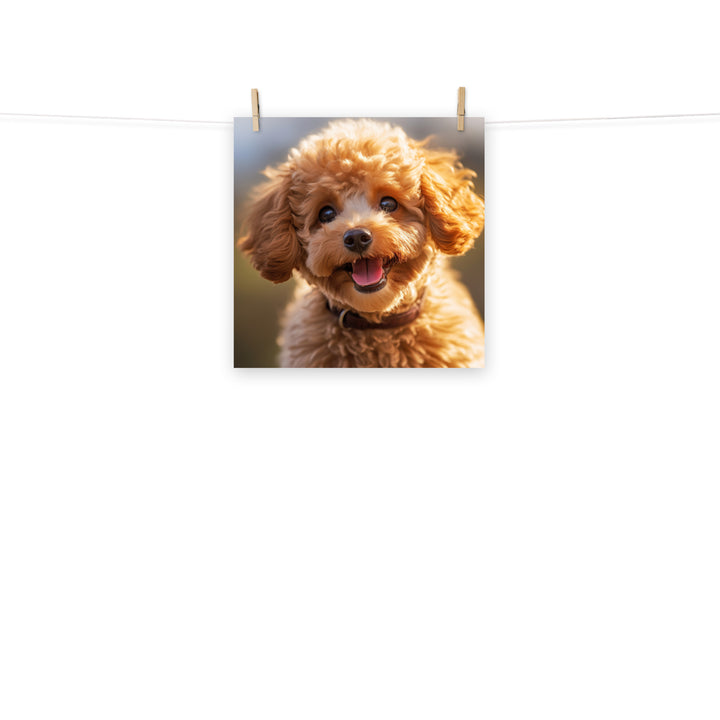 Poodle Photo paper poster - PosterfyAI.com