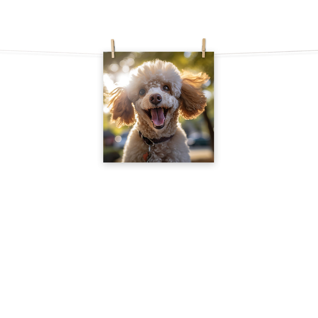 Poodle Photo paper poster - PosterfyAI.com