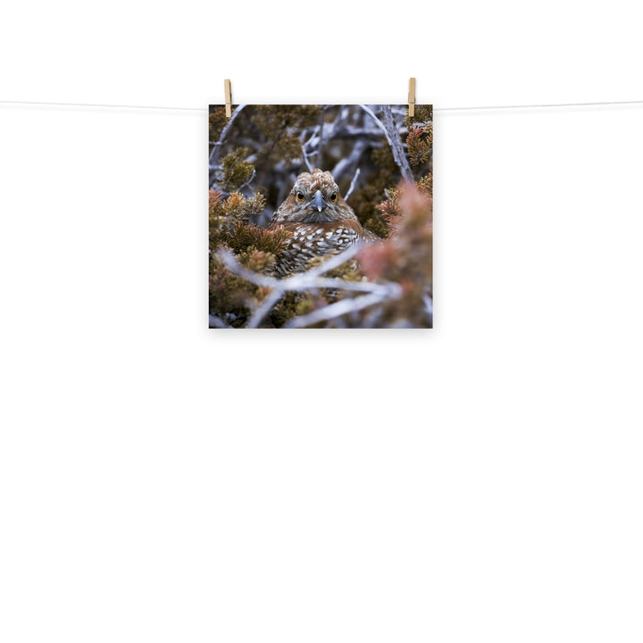 Grouse Photo paper poster - PosterfyAI.com