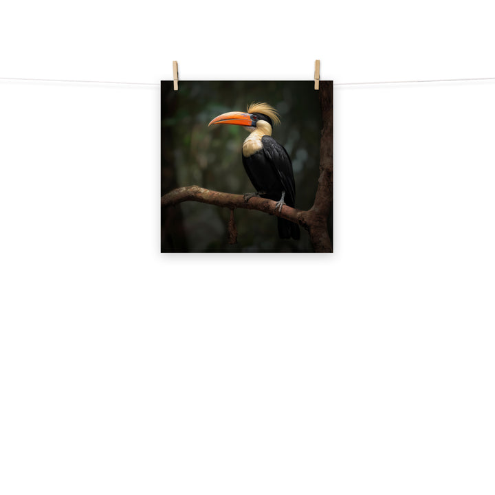 Hornbill Photo paper poster - PosterfyAI.com