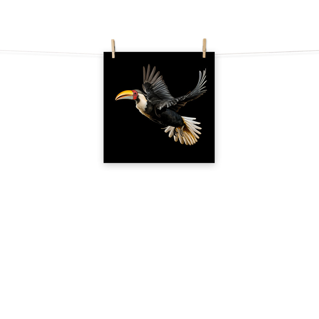 Hornbill Photo paper poster - PosterfyAI.com