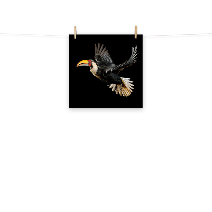 Hornbill Photo paper poster - PosterfyAI.com