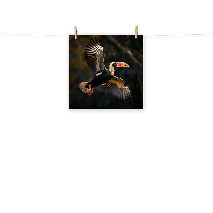 Hornbill Photo paper poster - PosterfyAI.com