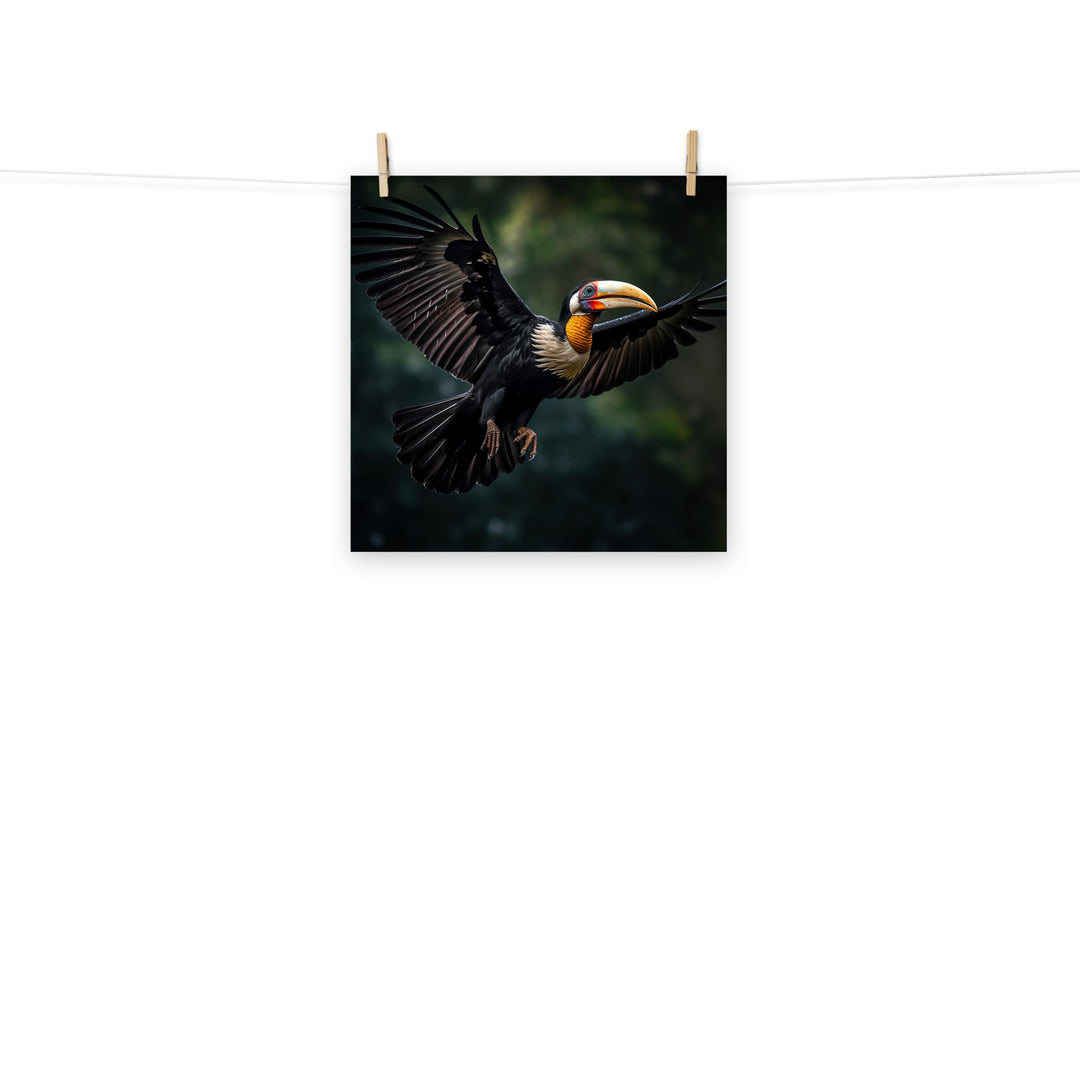 Hornbill Photo paper poster - PosterfyAI.com