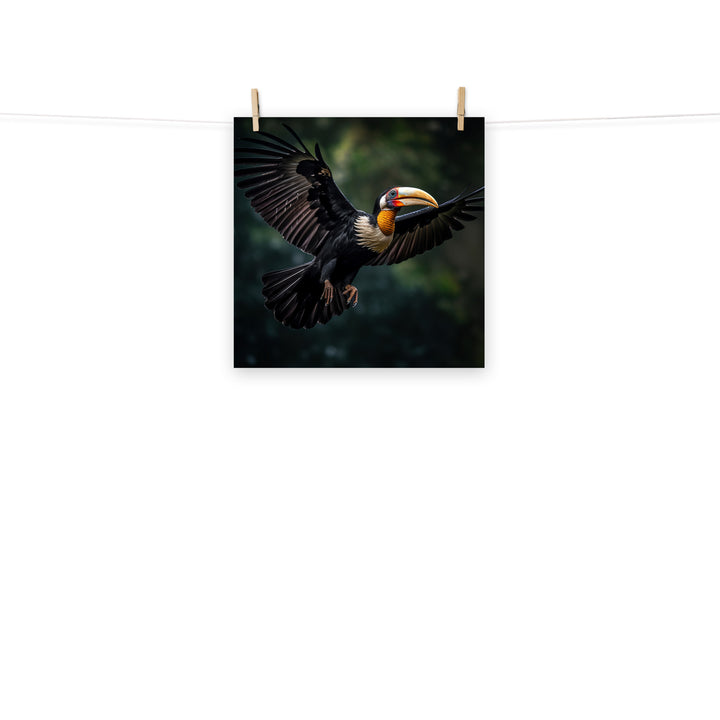 Hornbill Photo paper poster - PosterfyAI.com