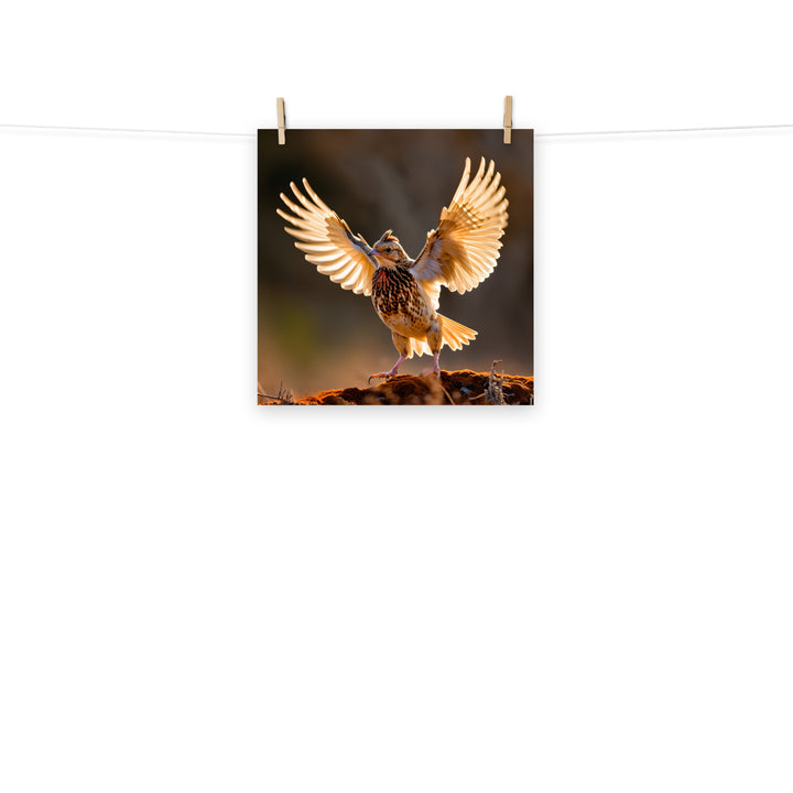 Quail Photo paper poster - PosterfyAI.com