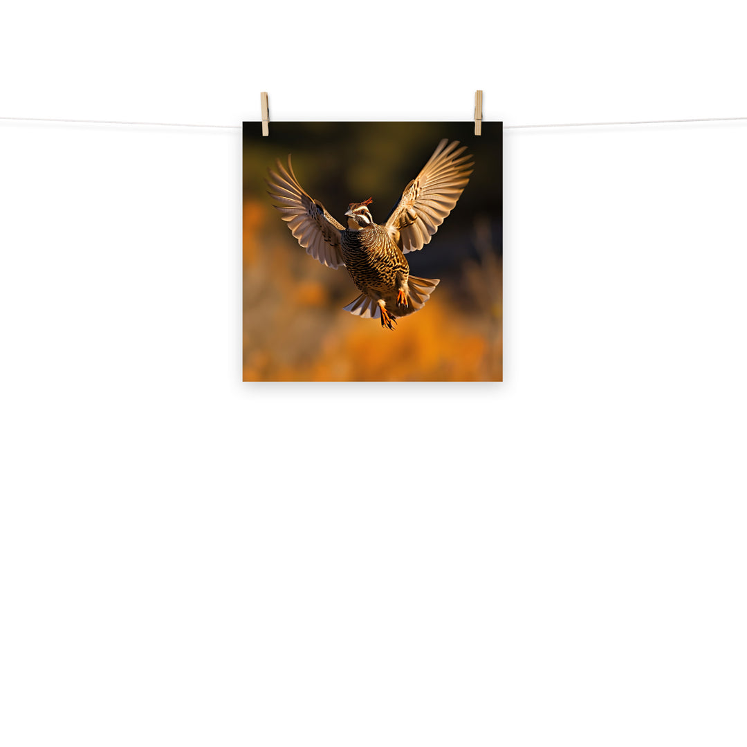 Quail Photo paper poster - PosterfyAI.com
