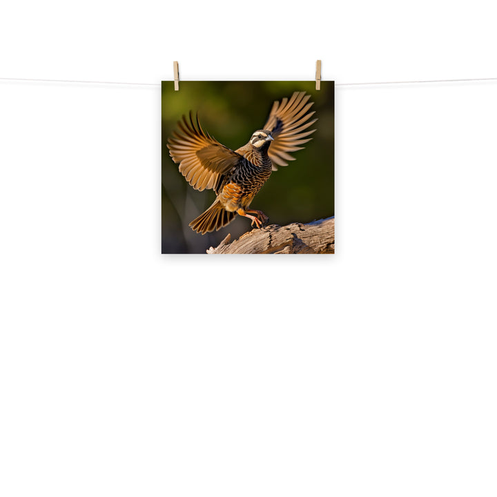 Quail Photo paper poster - PosterfyAI.com