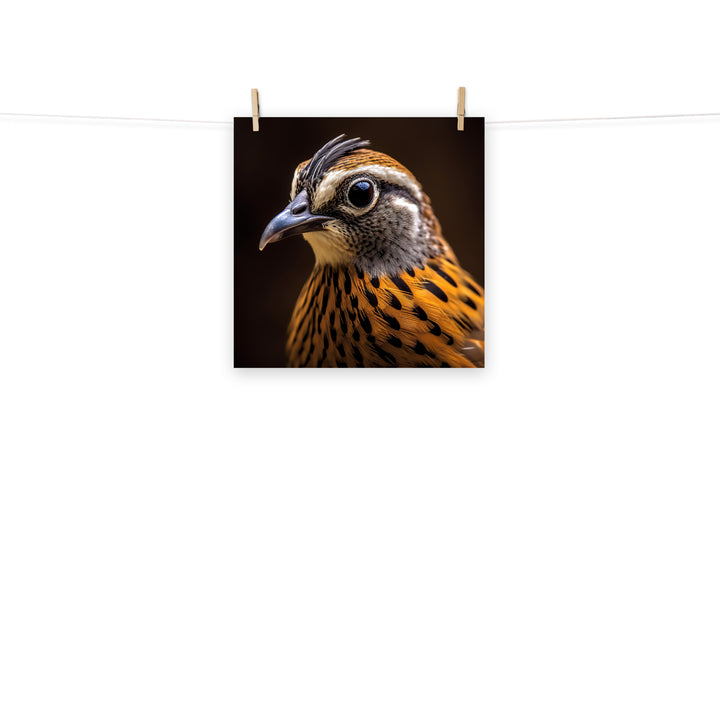 Quail Photo paper poster - PosterfyAI.com