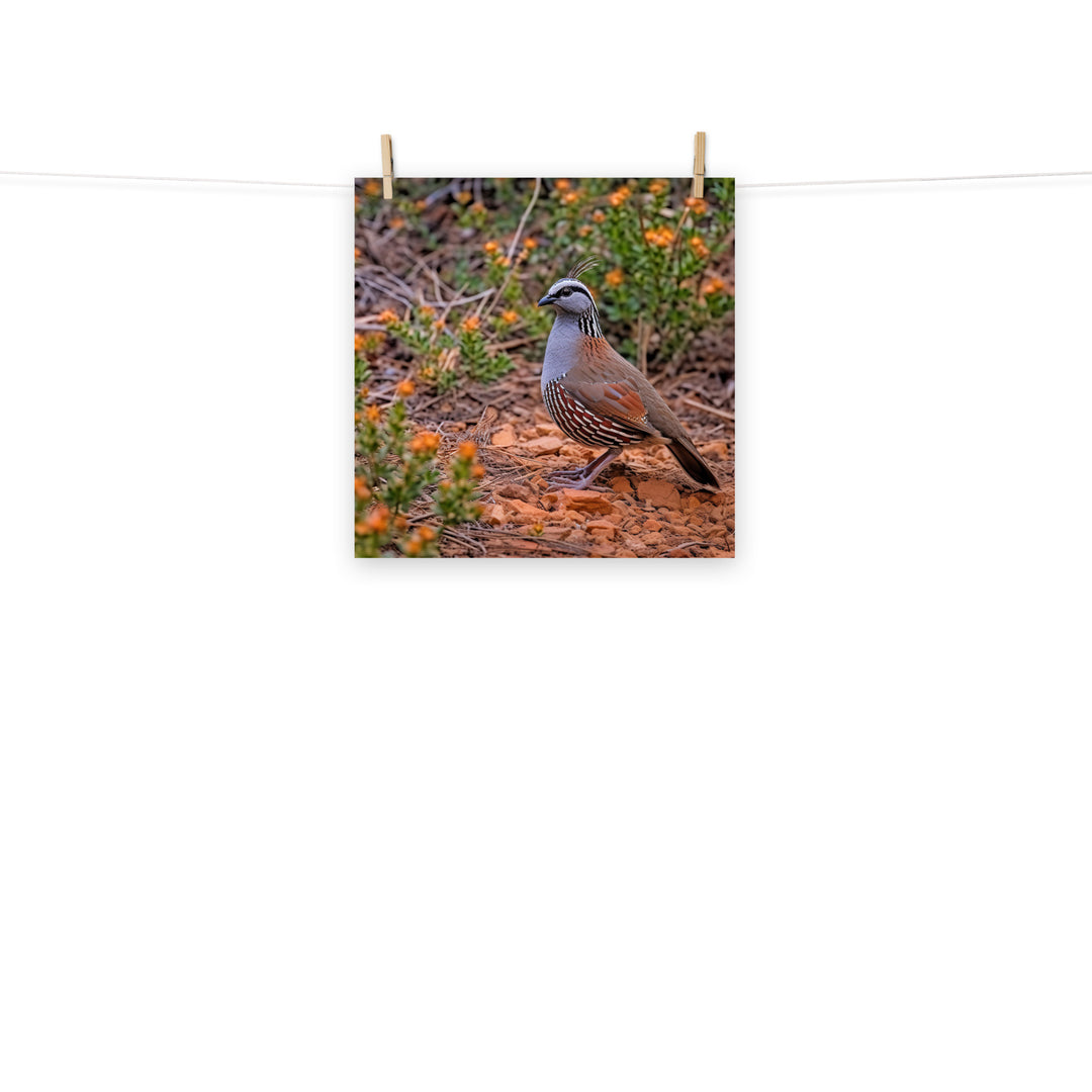 Quail Photo paper poster - PosterfyAI.com