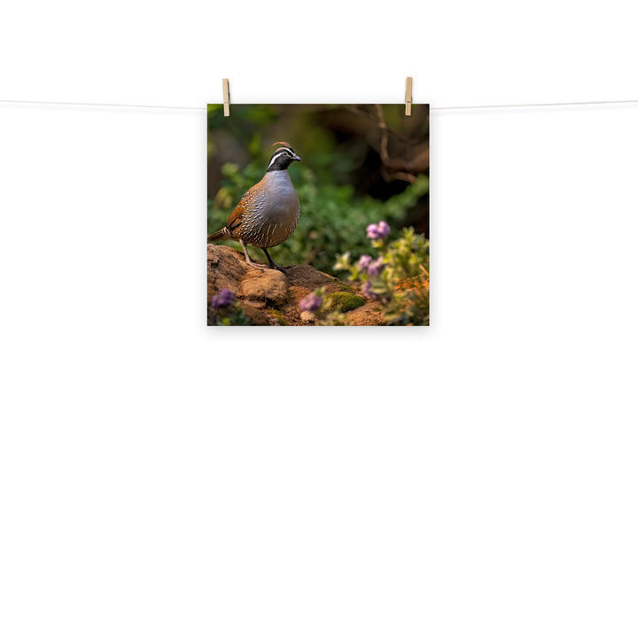 Quail Photo paper poster - PosterfyAI.com