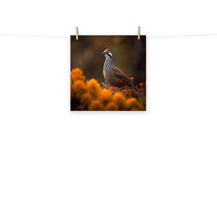 Quail Photo paper poster - PosterfyAI.com