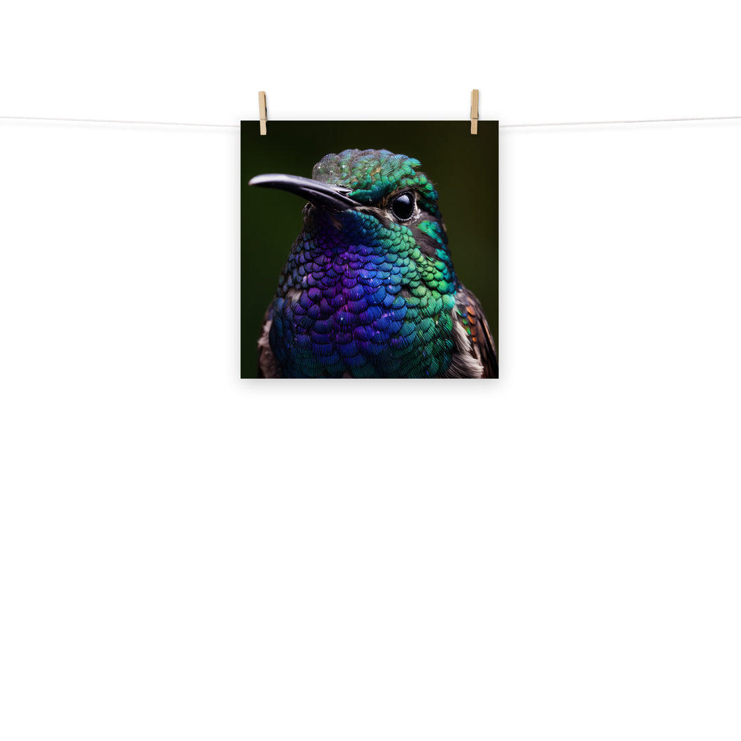Hummingbird Photo paper poster - PosterfyAI.com
