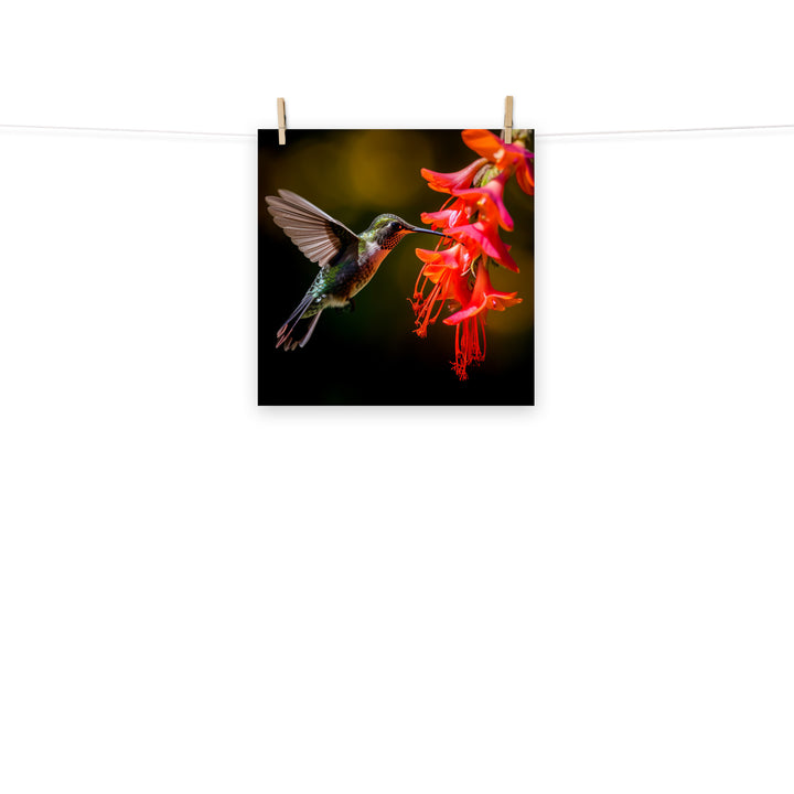 Hummingbird Photo paper poster - PosterfyAI.com