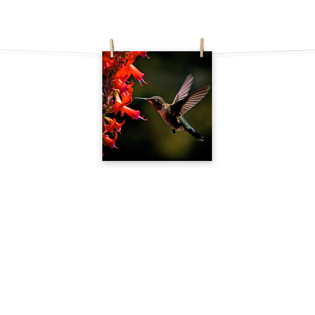 Hummingbird Photo paper poster - PosterfyAI.com