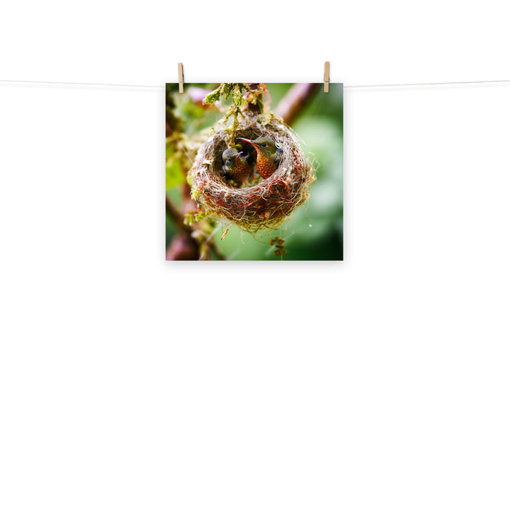 Hummingbird Photo paper poster - PosterfyAI.com