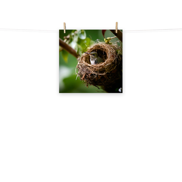 Hummingbird Photo paper poster - PosterfyAI.com