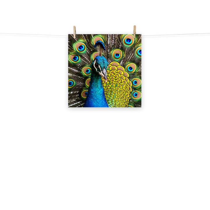 Peacock Photo paper poster - PosterfyAI.com