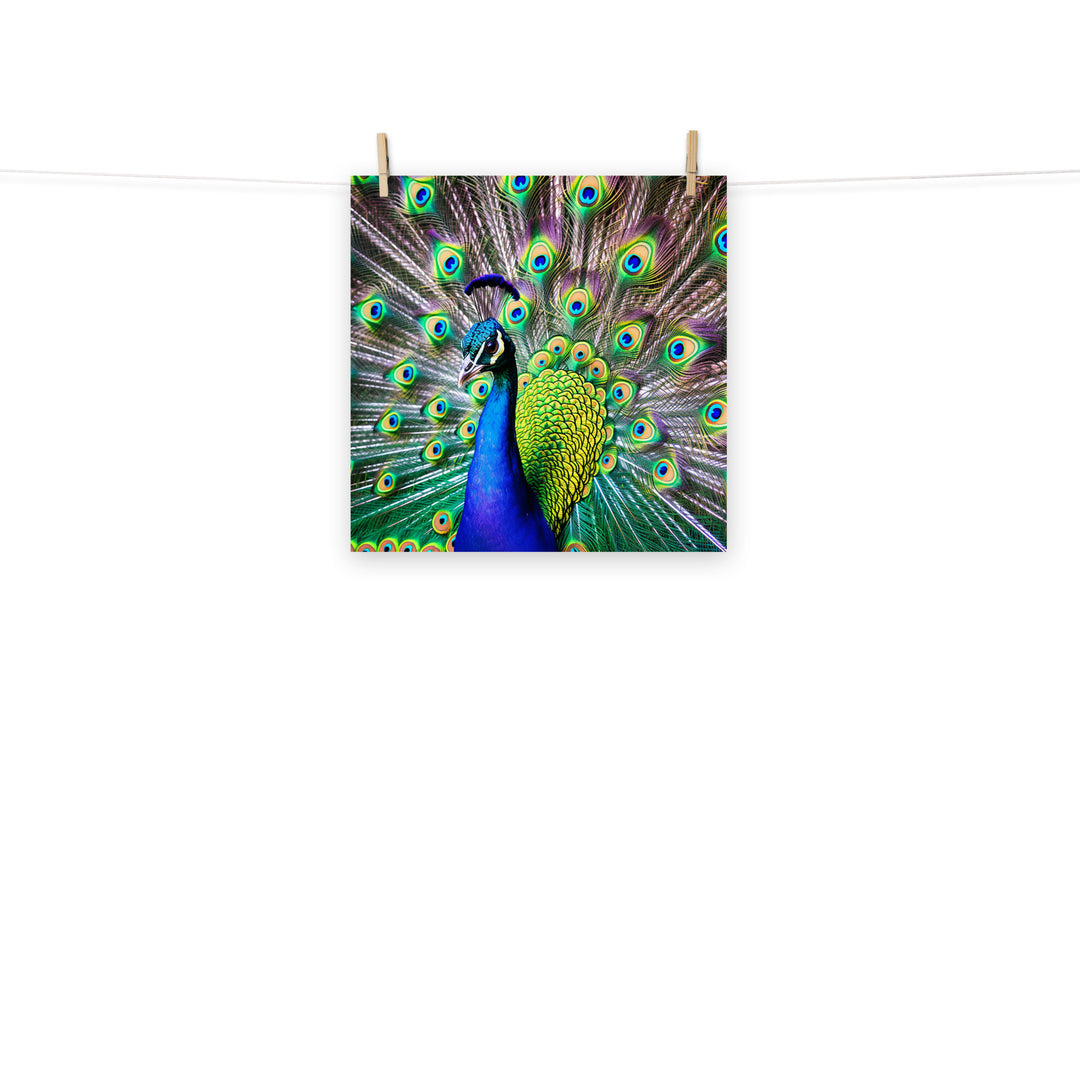 Peacock Photo paper poster - PosterfyAI.com