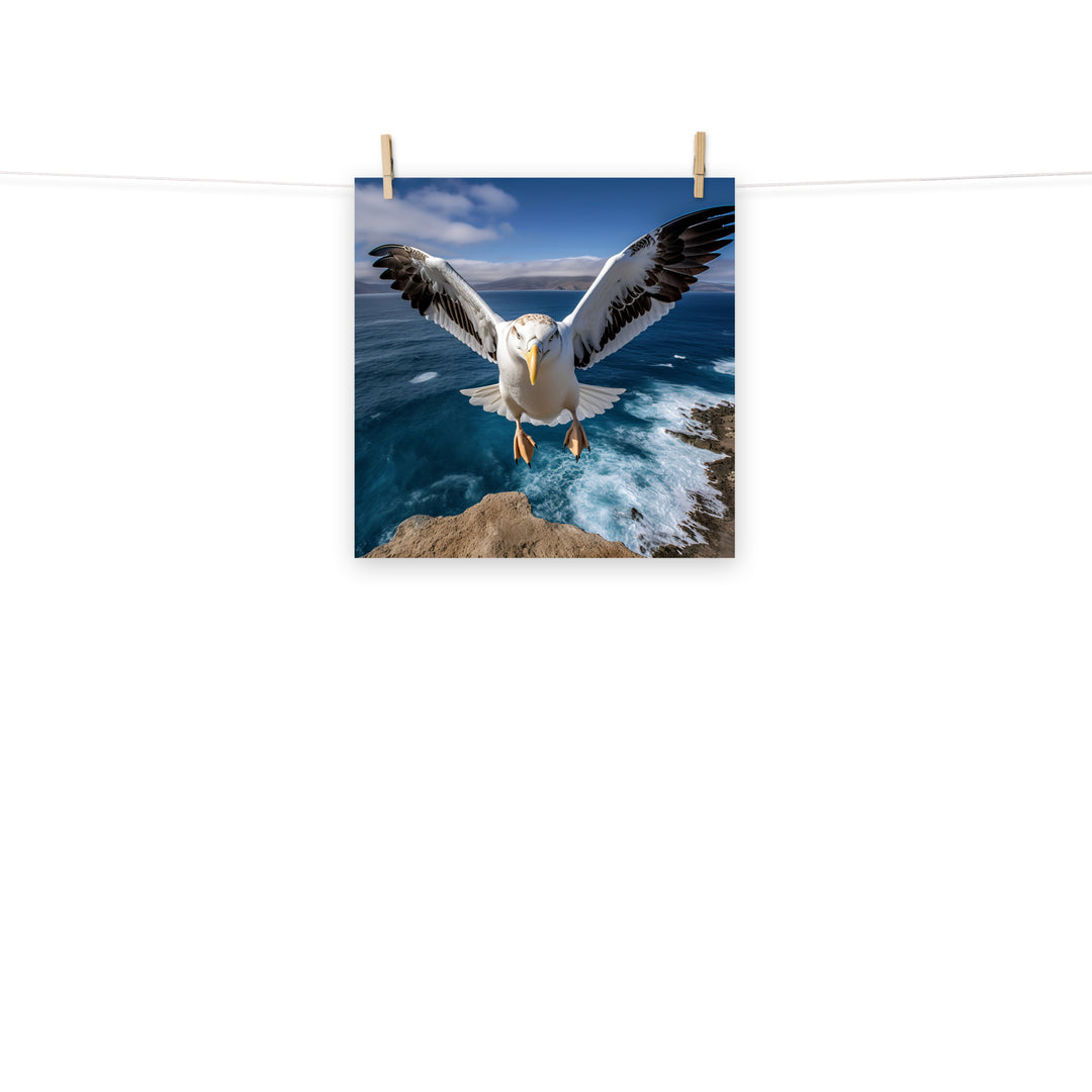 Albatross Photo paper poster - PosterfyAI.com