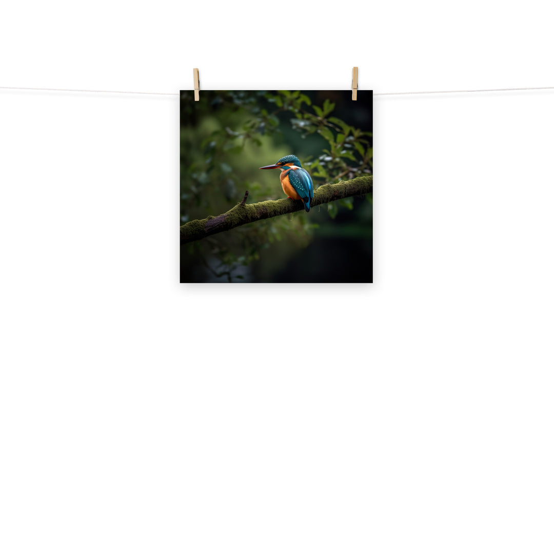 Kingfisher Photo paper poster - PosterfyAI.com
