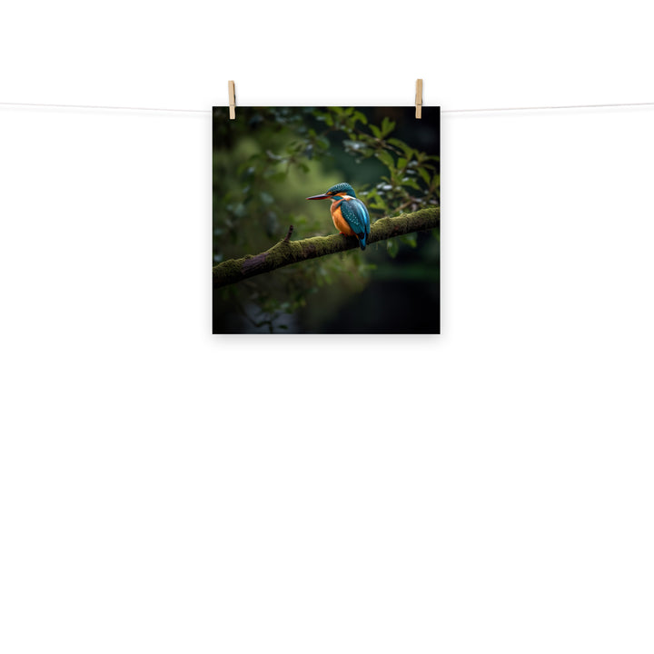 Kingfisher Photo paper poster - PosterfyAI.com