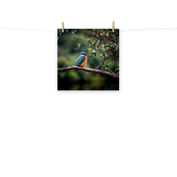 Kingfisher Photo paper poster - PosterfyAI.com