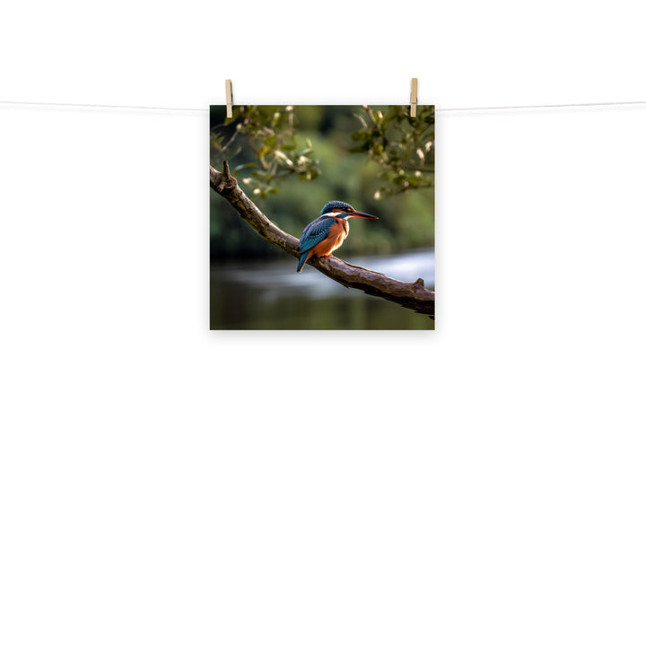 Kingfisher Photo paper poster - PosterfyAI.com
