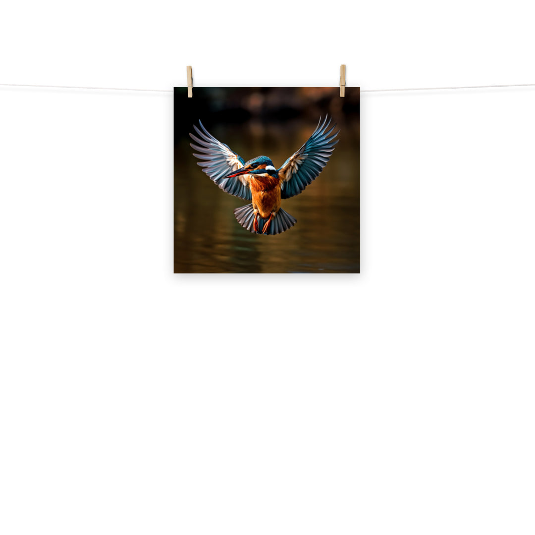 Kingfisher Photo paper poster - PosterfyAI.com