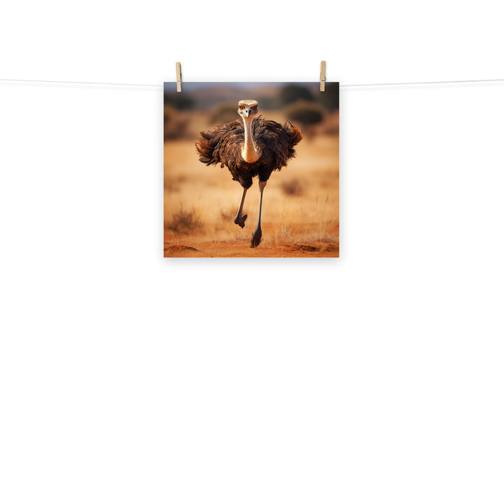 Ostrich Photo paper poster - PosterfyAI.com