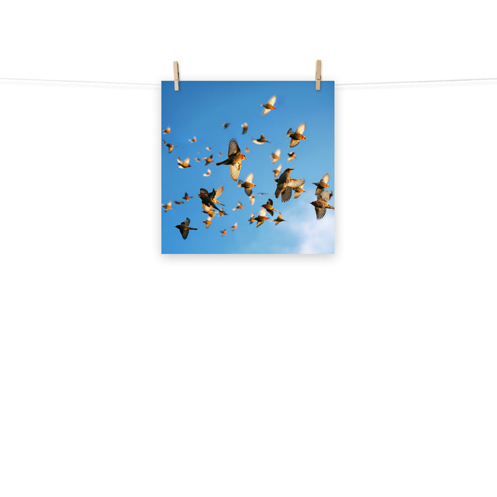 Finch Photo paper poster - PosterfyAI.com