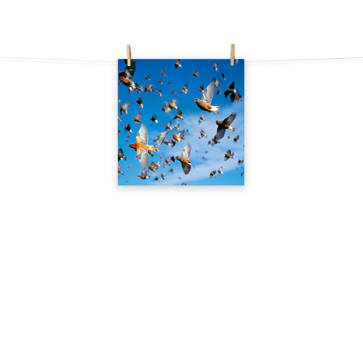 Finch Photo paper poster - PosterfyAI.com