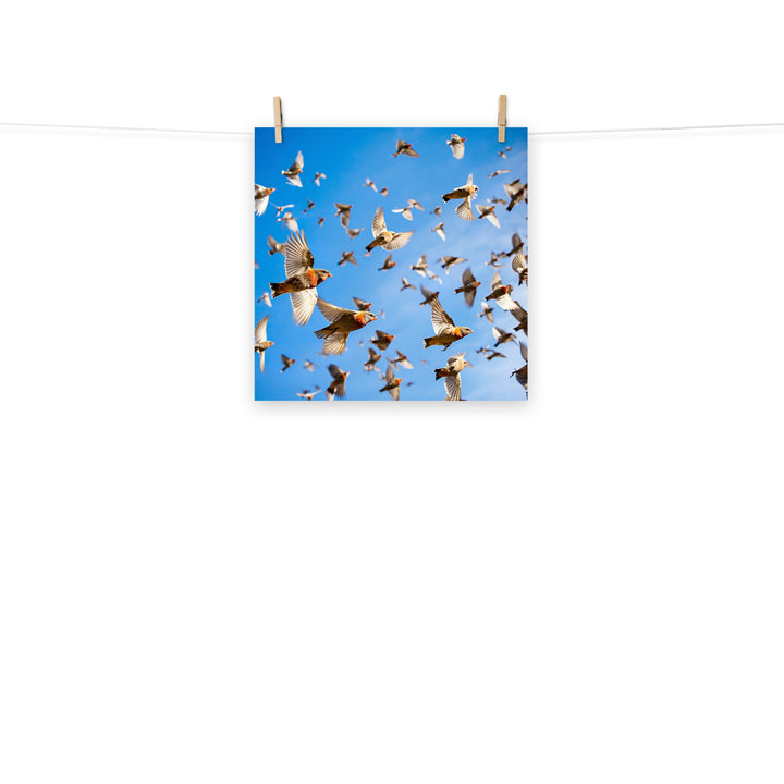 Finch Photo paper poster - PosterfyAI.com