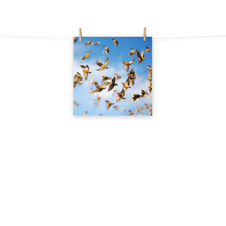 Finch Photo paper poster - PosterfyAI.com