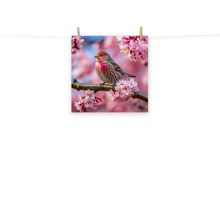 Finch Photo paper poster - PosterfyAI.com
