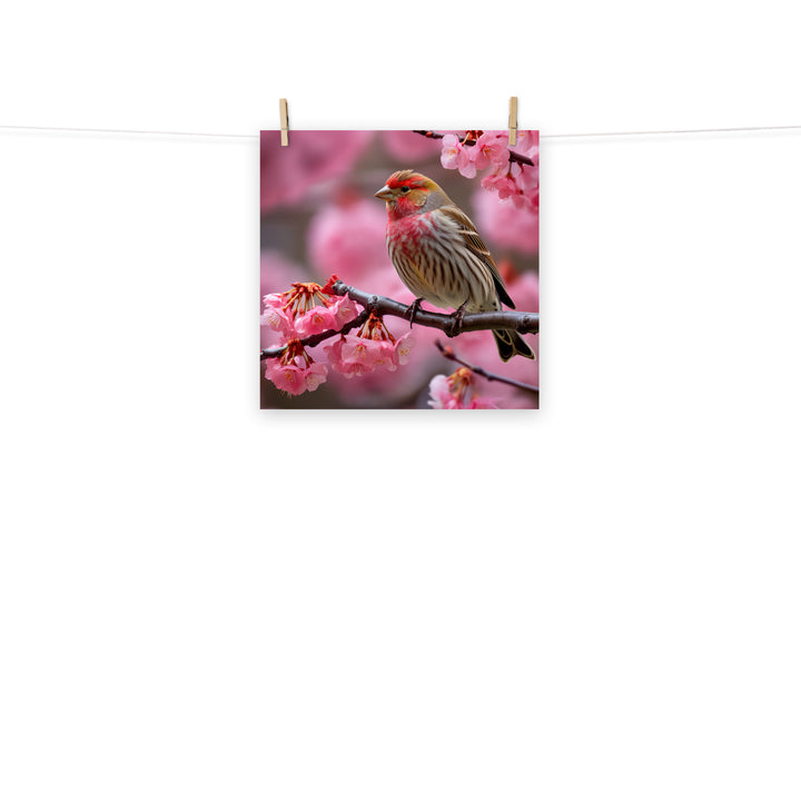 Finch Photo paper poster - PosterfyAI.com