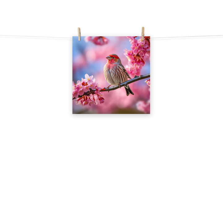 Finch Photo paper poster - PosterfyAI.com