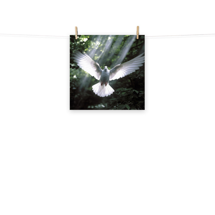 Dove Photo paper poster - PosterfyAI.com