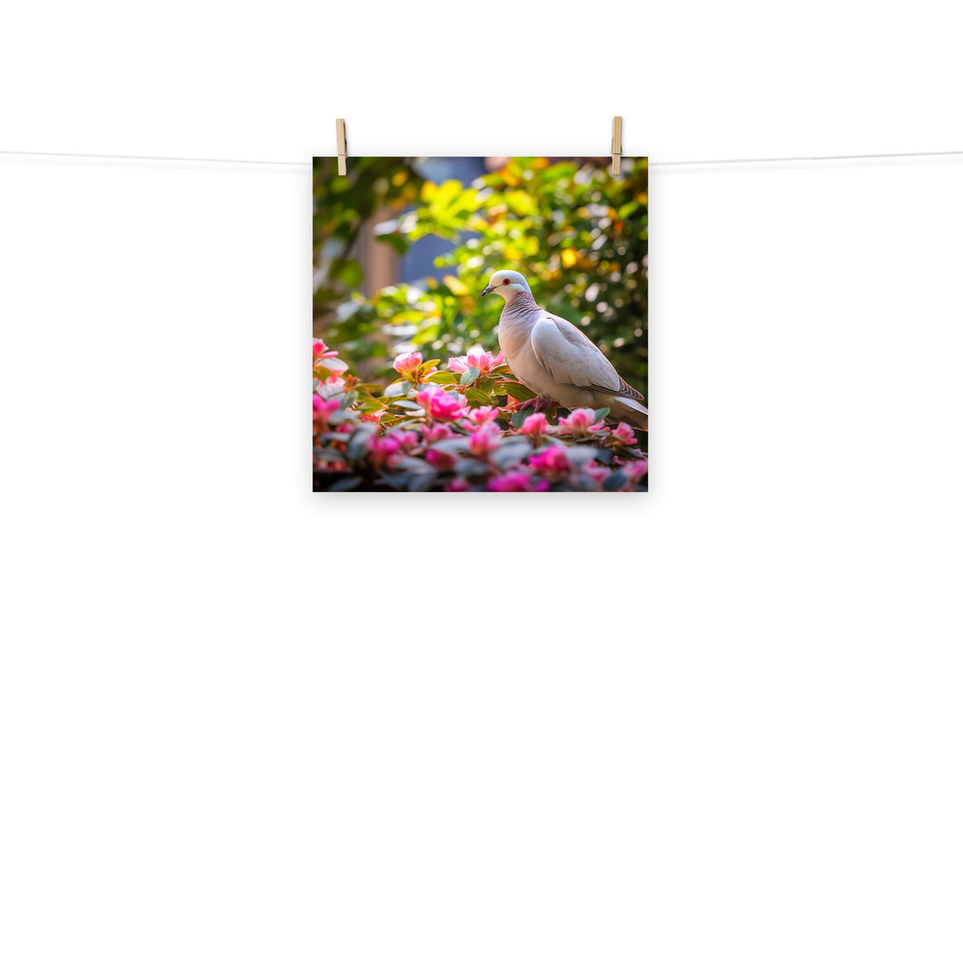 Dove Photo paper poster - PosterfyAI.com