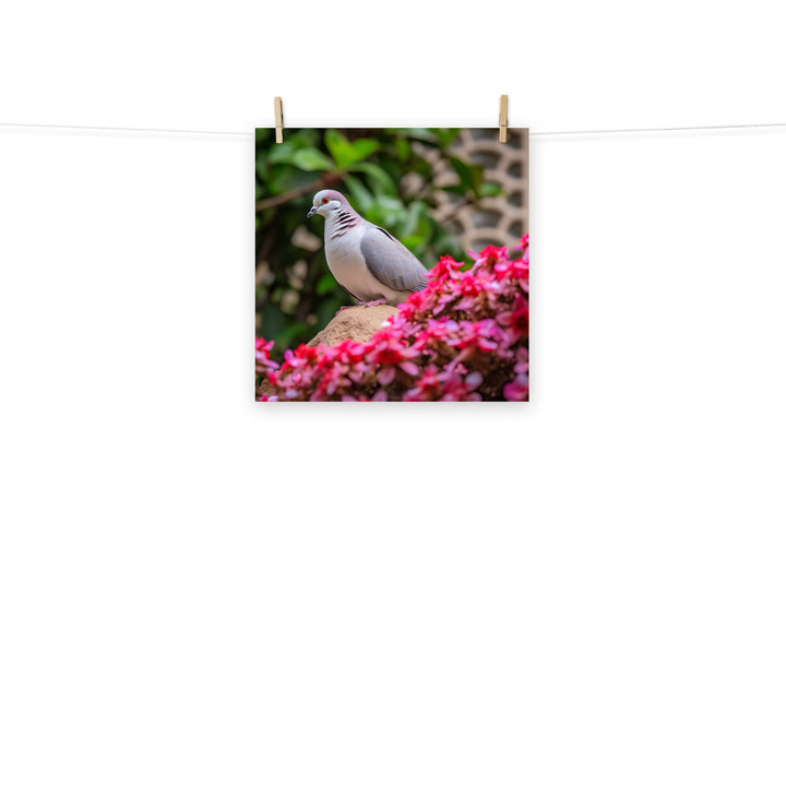 Dove Photo paper poster - PosterfyAI.com