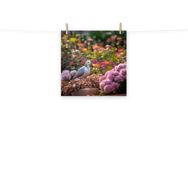 Dove Photo paper poster - PosterfyAI.com