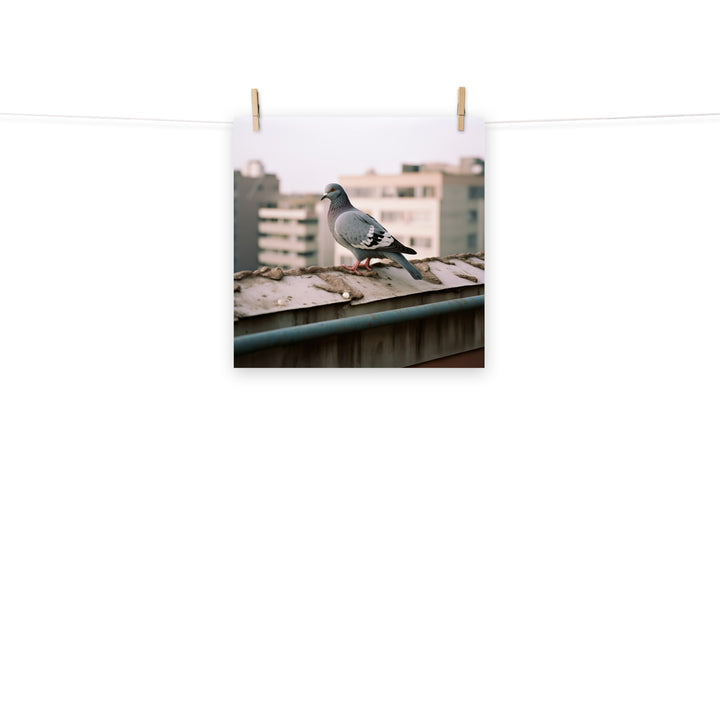 Pigeon Photo paper poster - PosterfyAI.com