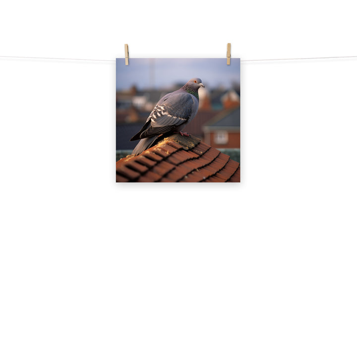 Pigeon Photo paper poster - PosterfyAI.com