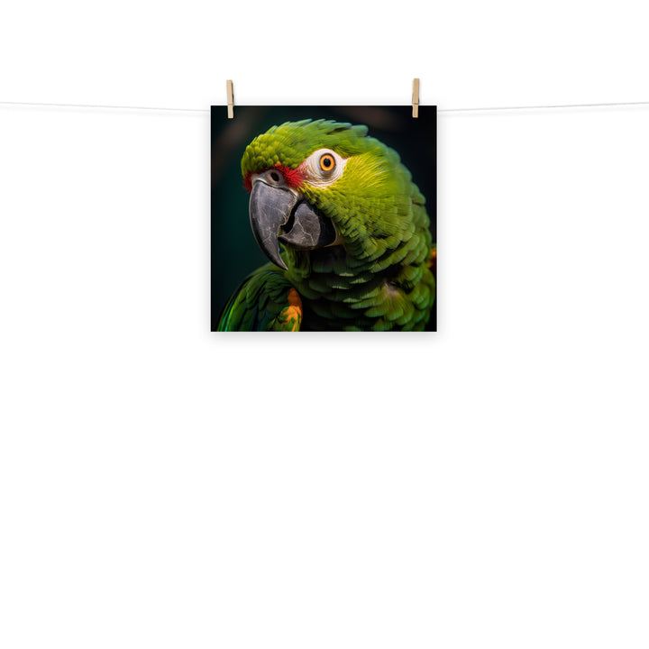 Parrot Photo paper poster - PosterfyAI.com