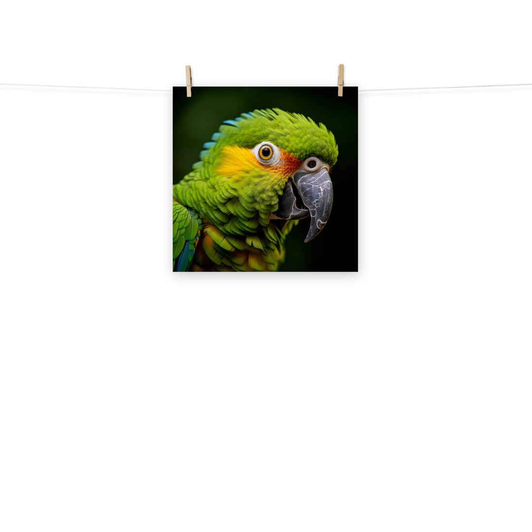 Parrot Photo paper poster - PosterfyAI.com