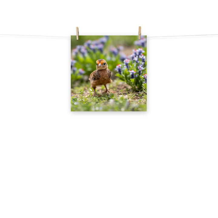 Chick Photo paper poster - PosterfyAI.com